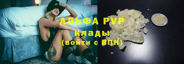 крисы Зеленокумск