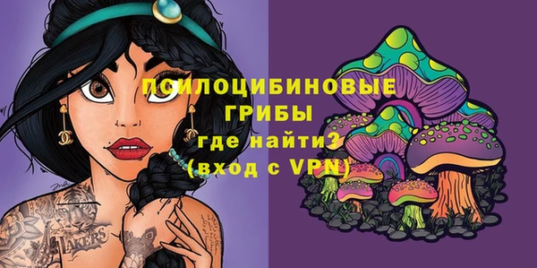 ГАЛЛЮЦИНОГЕННЫЕ ГРИБЫ Заводоуковск
