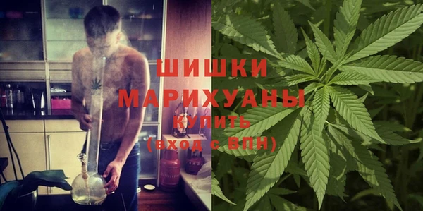 ГАЛЛЮЦИНОГЕННЫЕ ГРИБЫ Заводоуковск