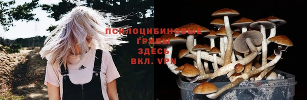 молекула духа Заволжск