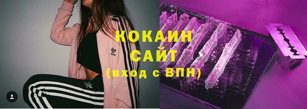 ГАЛЛЮЦИНОГЕННЫЕ ГРИБЫ Заводоуковск