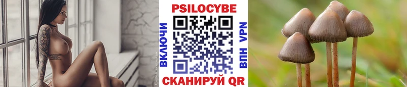 Псилоцибиновые грибы Psilocybe  Купить закладки  Зеленодольск 