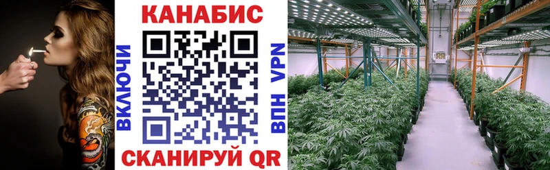 Бошки марихуана LSD WEED  Купить закладки  Зеленодольск 